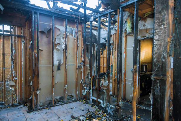 Professional Odor Removal technician working in Turtle Lake, WI