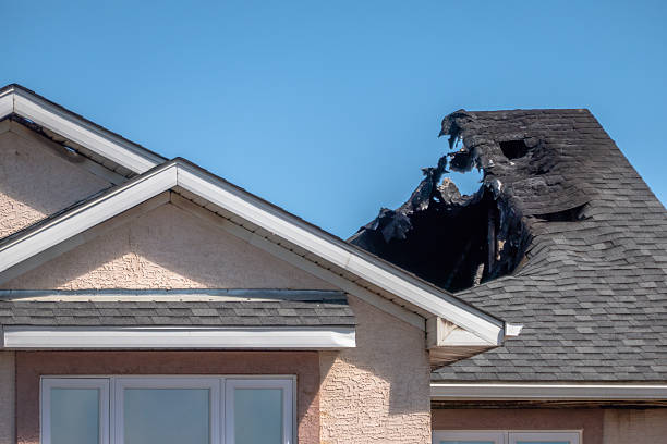 Top rated local Odor Removal specialists in Turtle Lake, WI